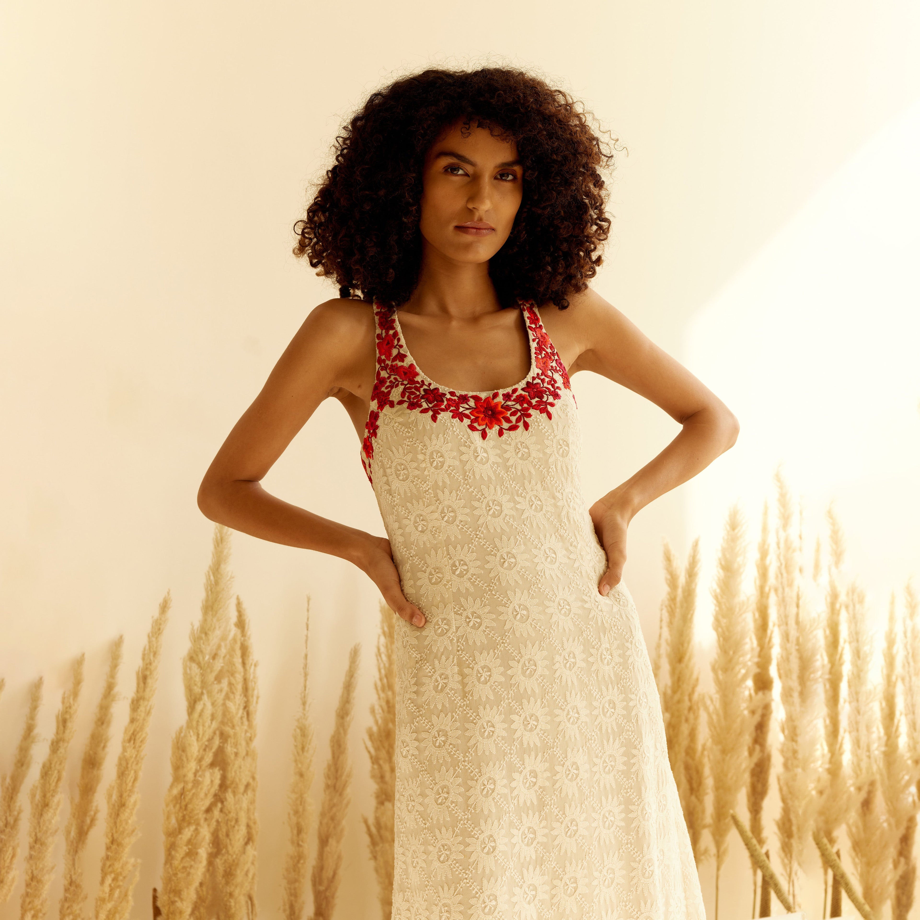 Blake Chikankari Dress