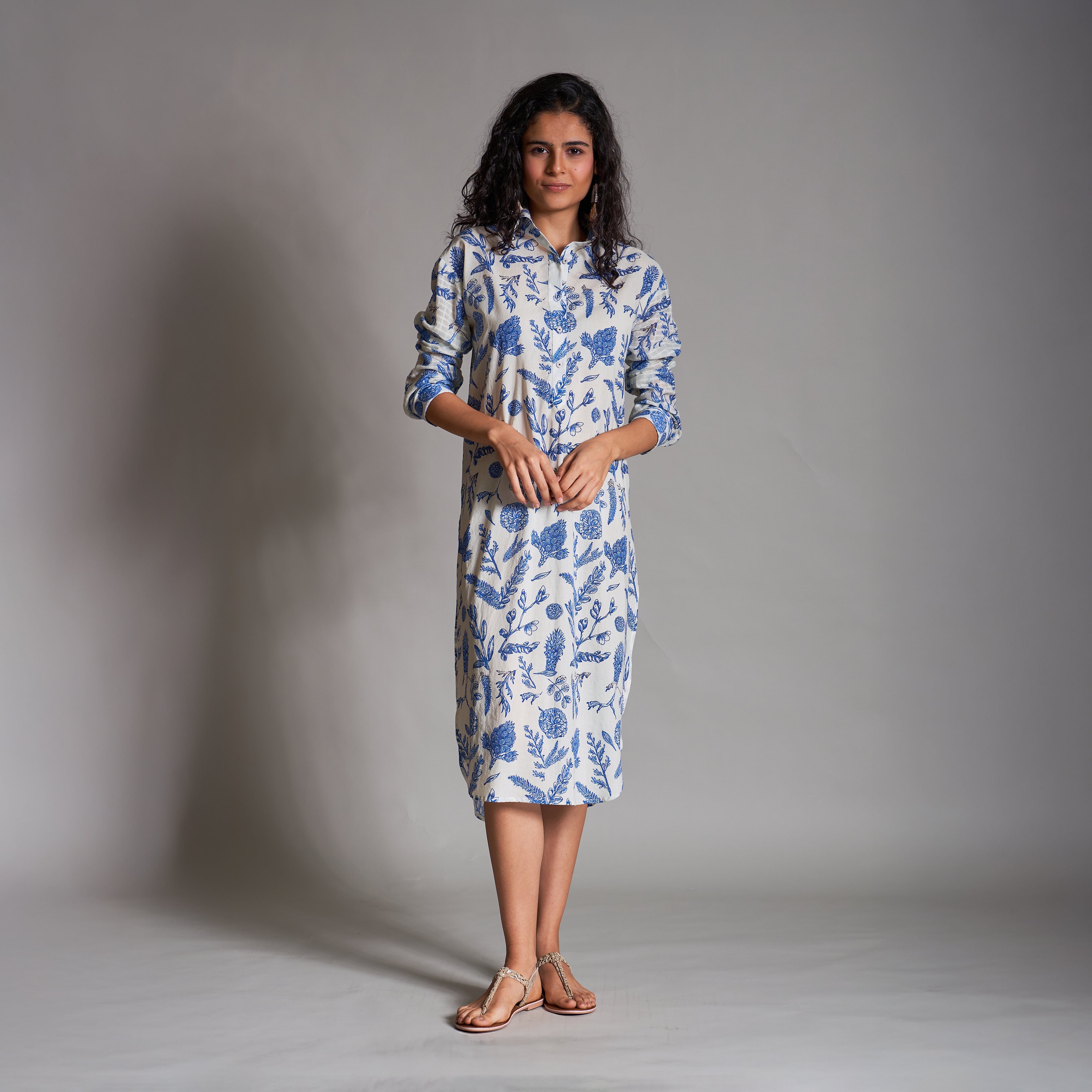 Misha Button Down Shirt Dress