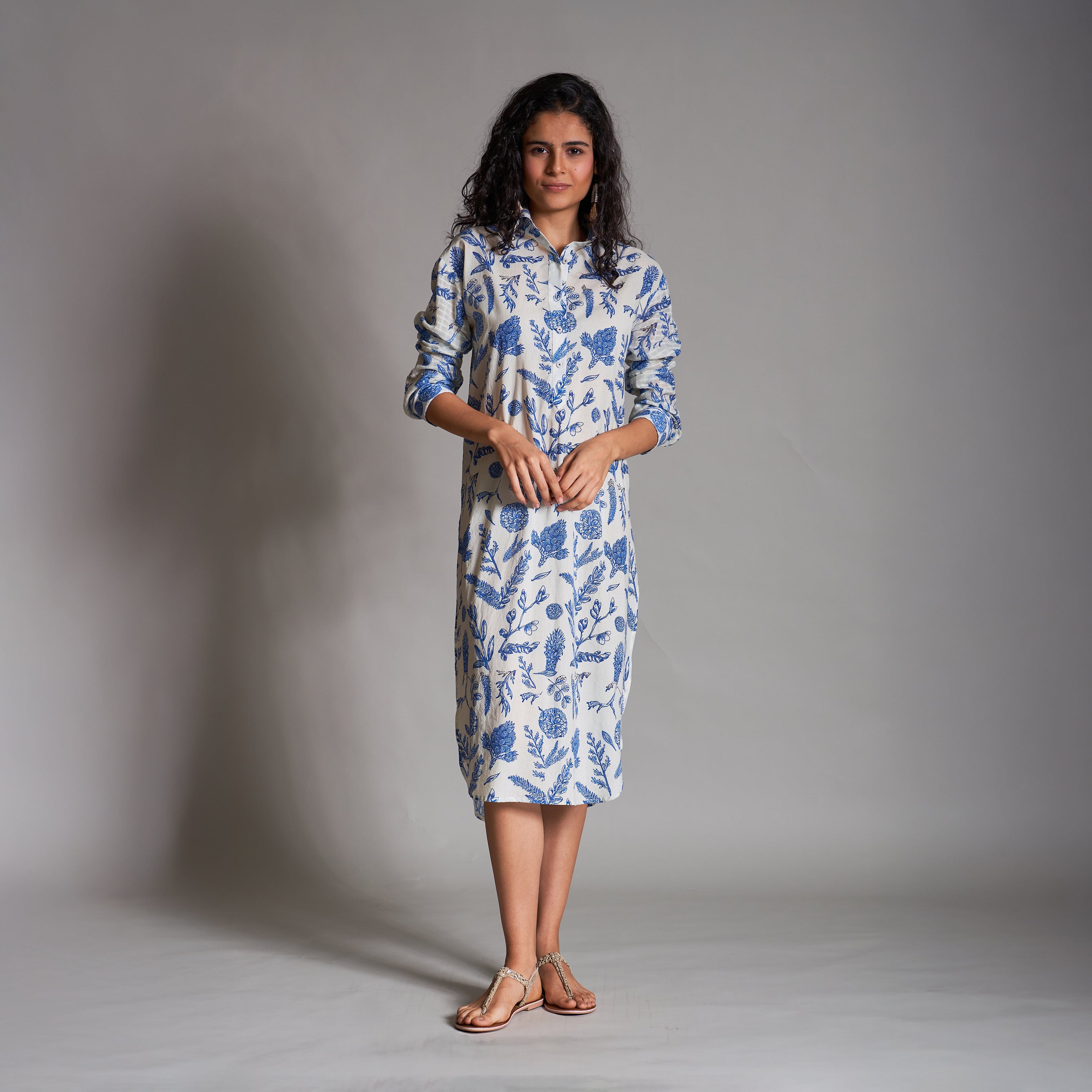 Misha Button Down Shirt Dress