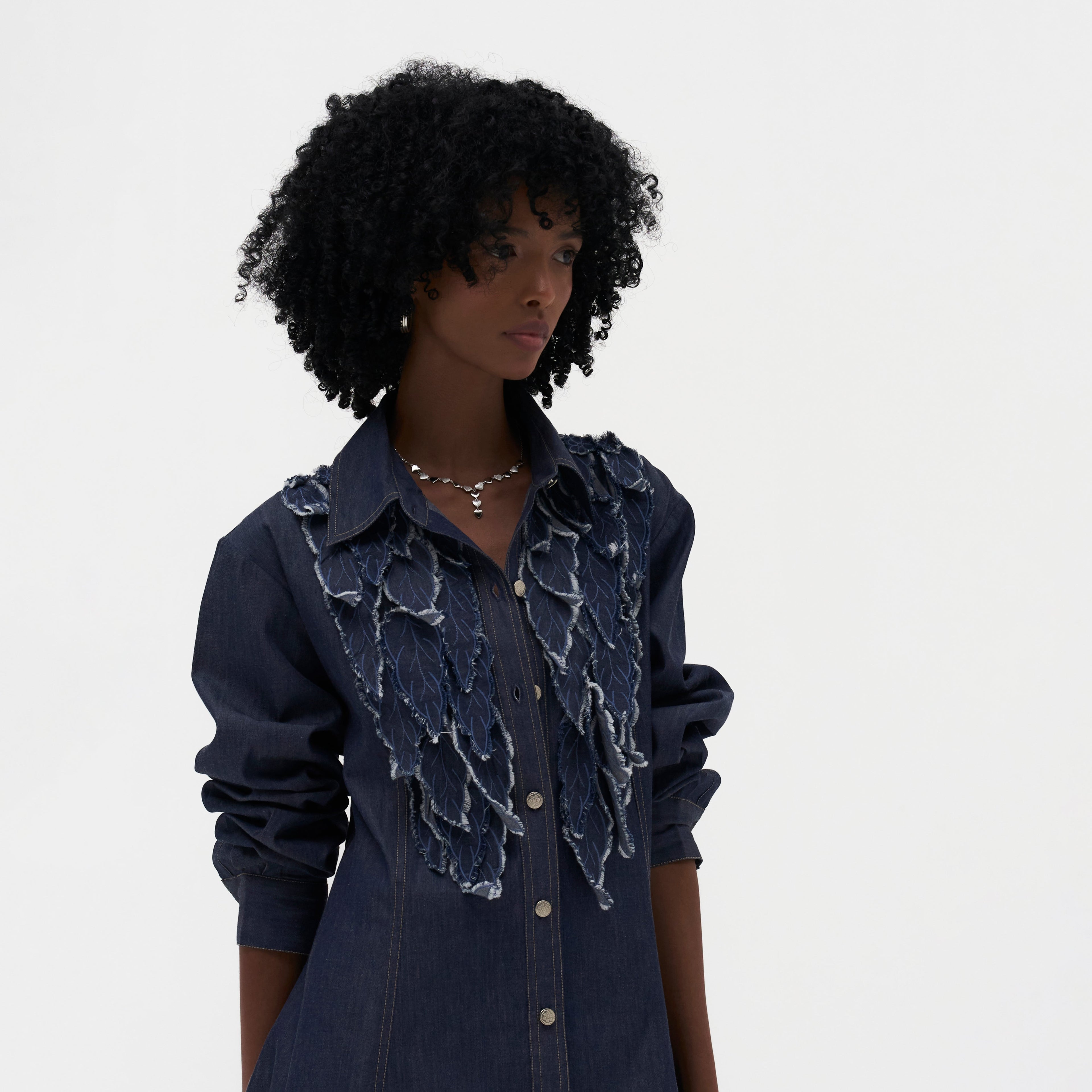 Alma Embroidered Shirt Dress