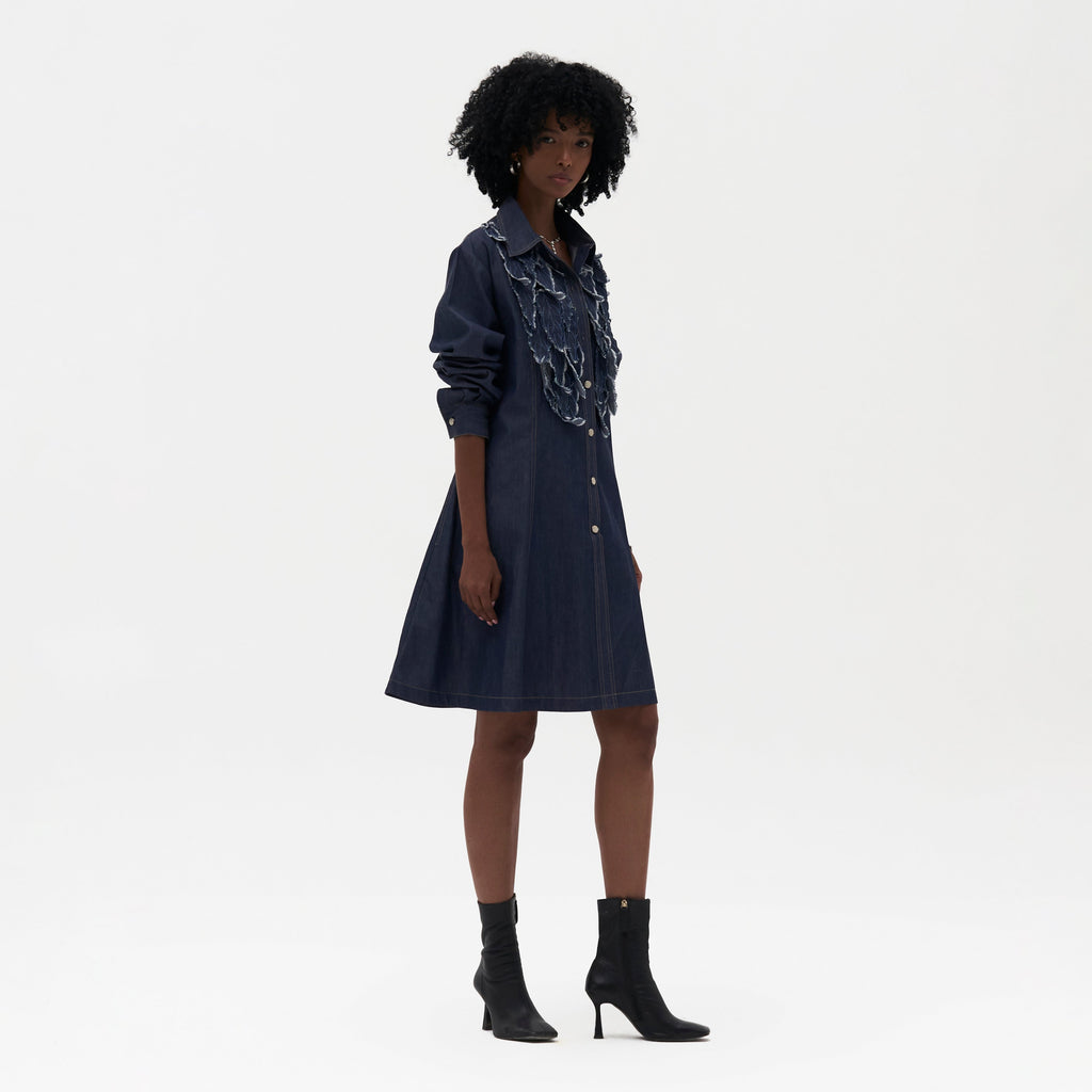 Alma Embroidered Shirt Dress