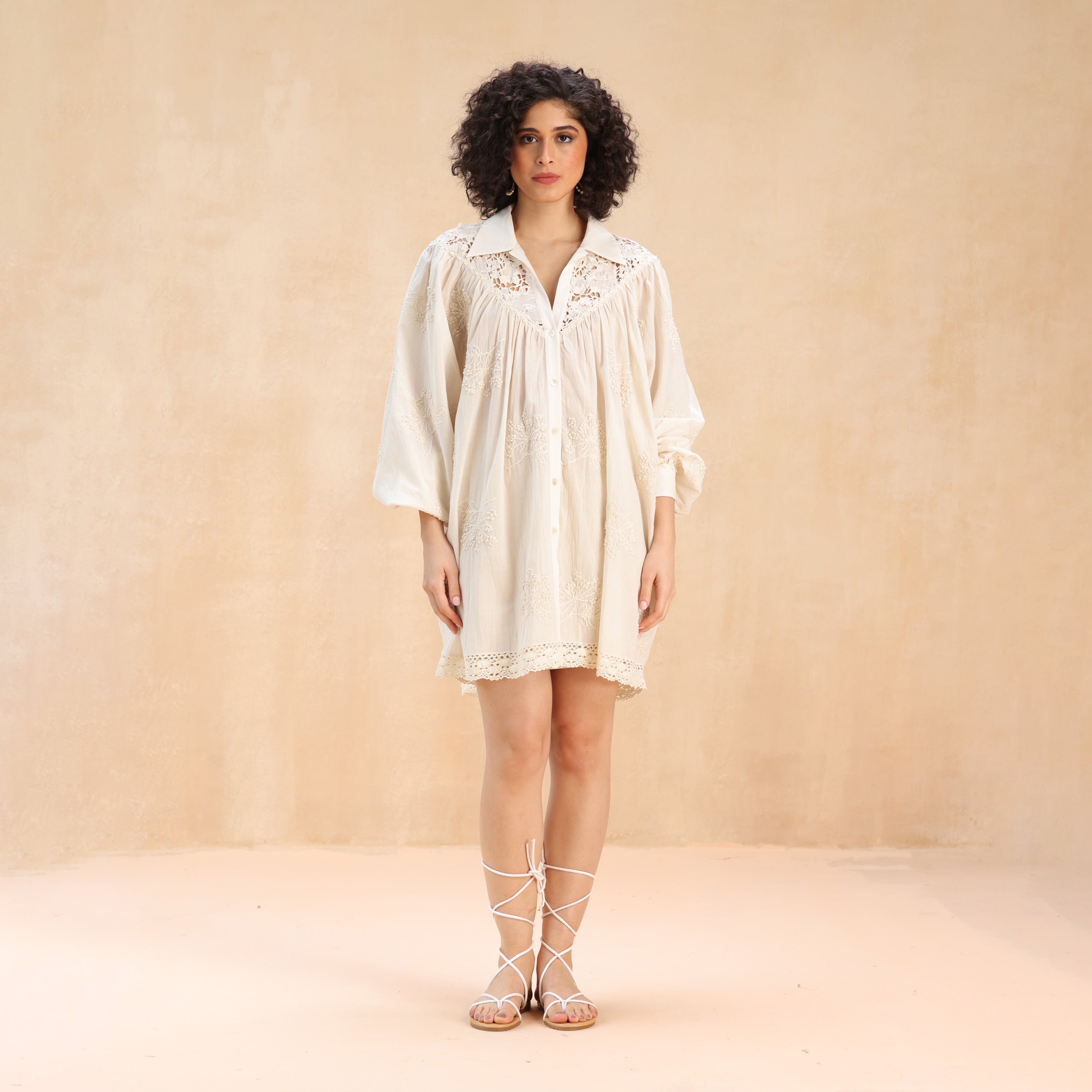 Charlotte Shirt Collar Dress