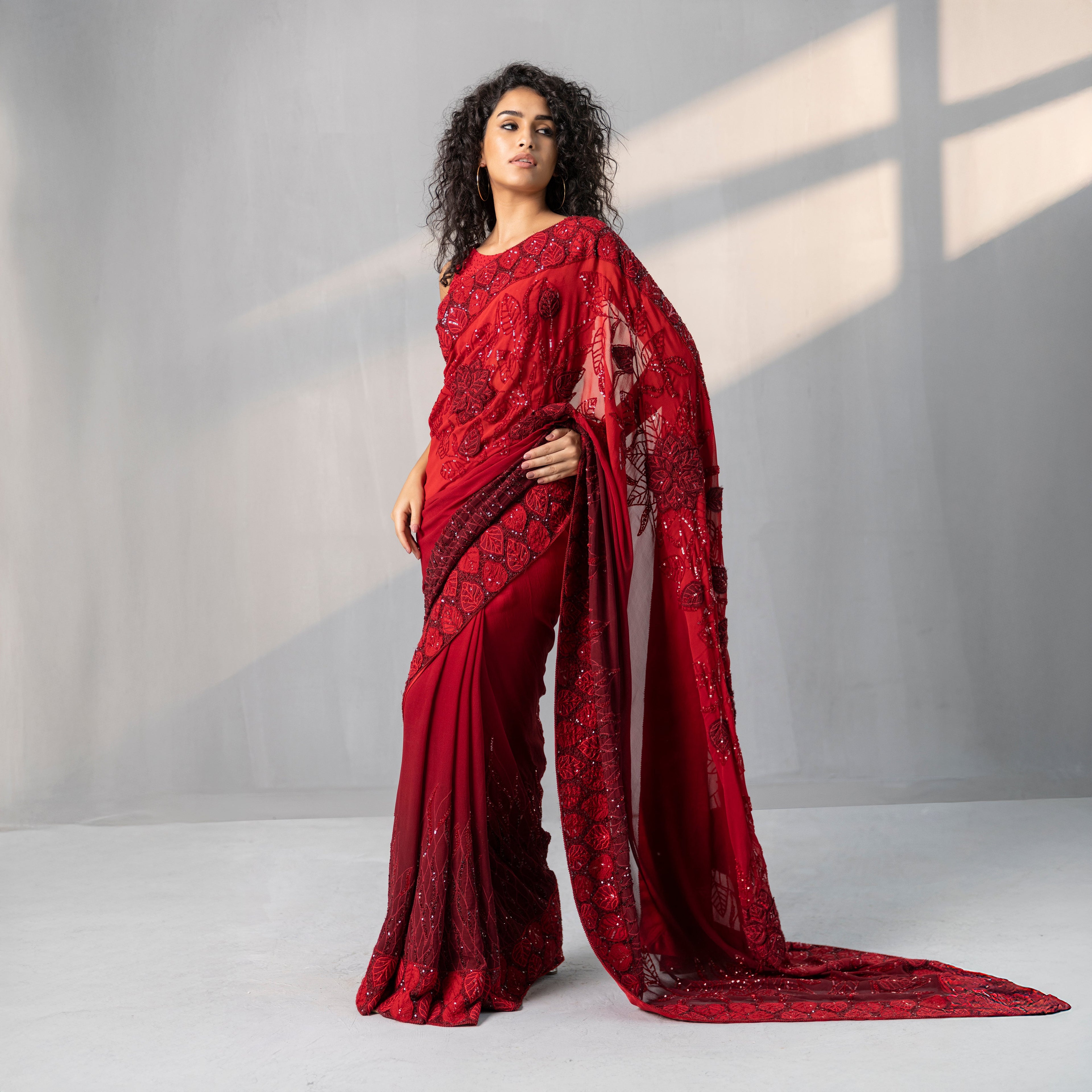 Dhriti Embroidered Saree