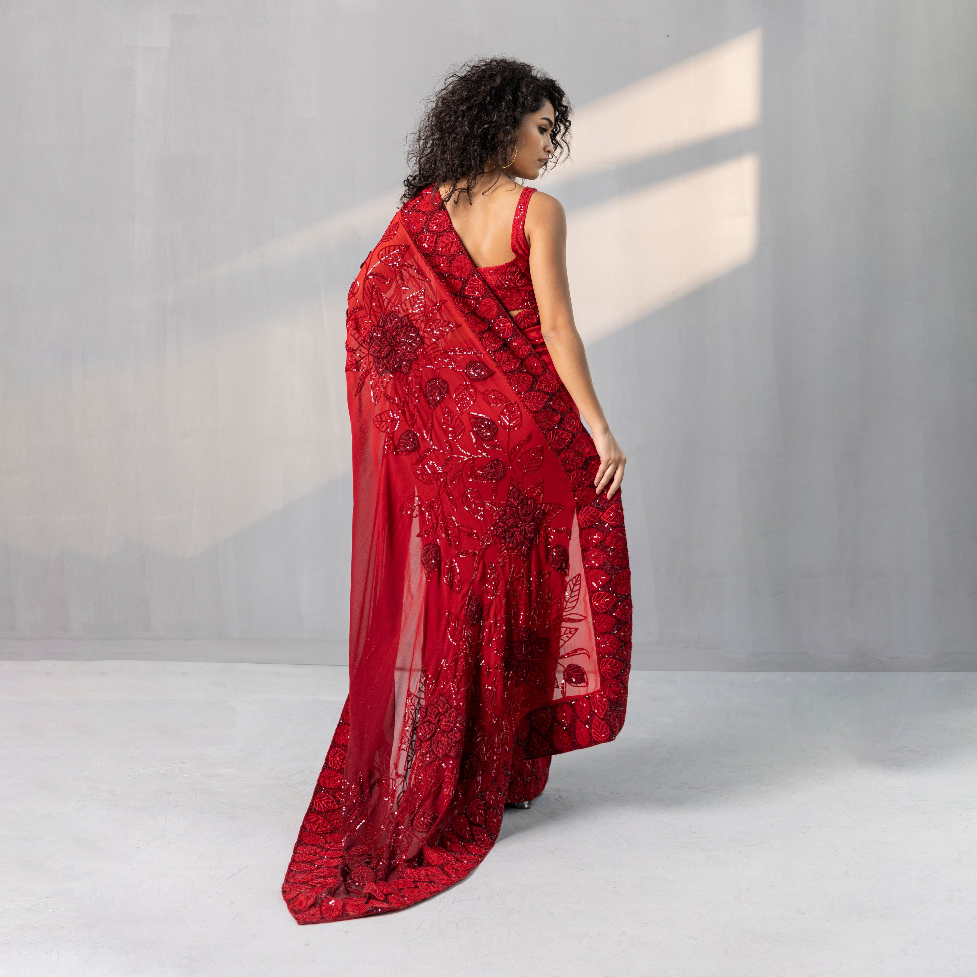 Dhriti Embroidered Saree