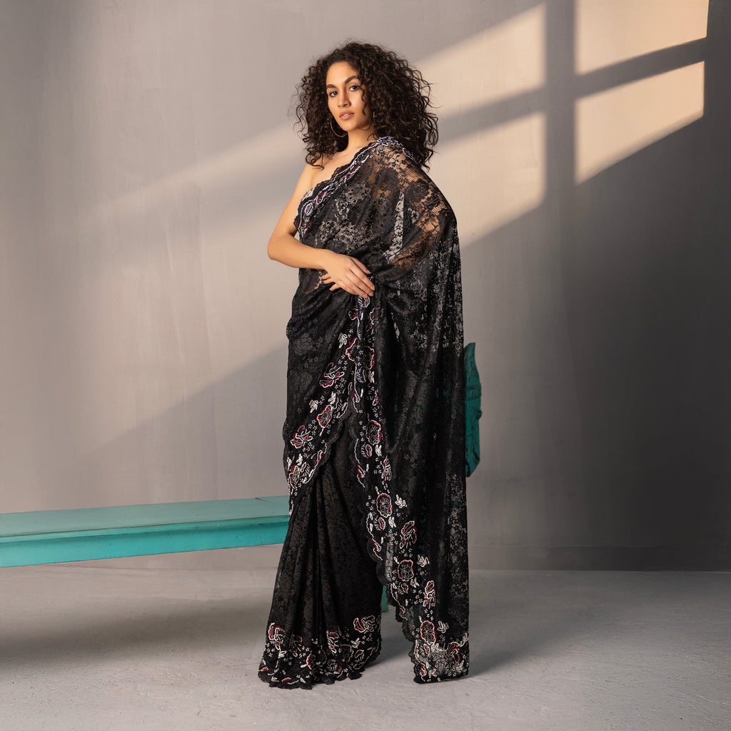 Damini Embroidered Saree
