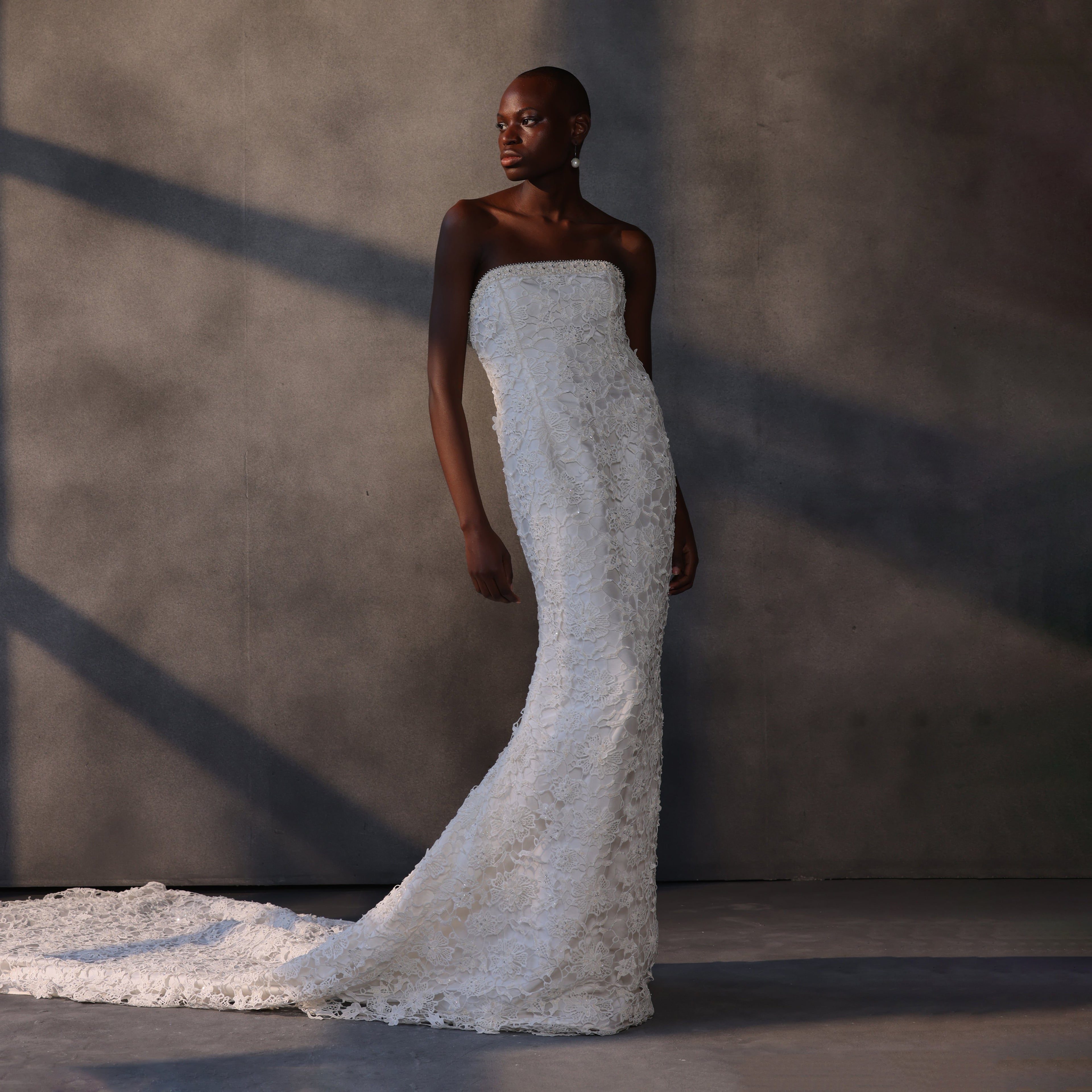 Moonlit Enchantment – Corset Lace Gown