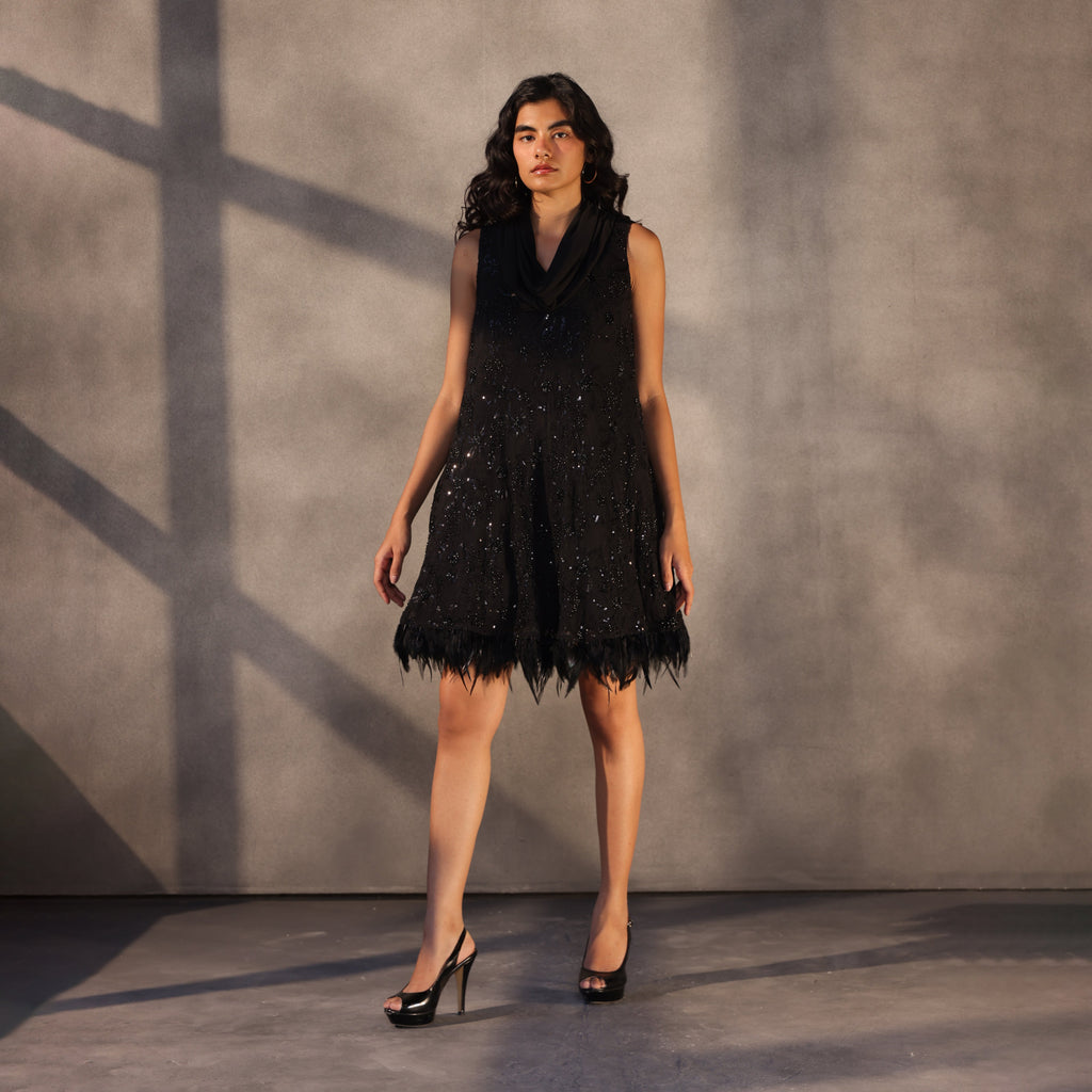 Raven’s Embrace – Embroidered Trapeze Dress